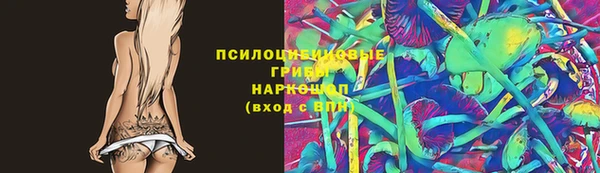 дурь Мегион