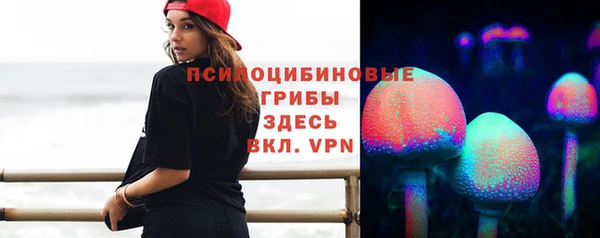 таблы Медвежьегорск