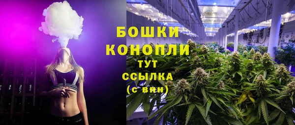 молекула духа Медногорск