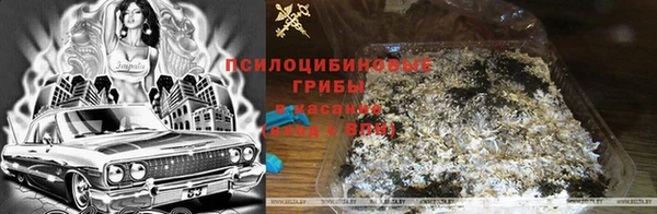дурь Мегион