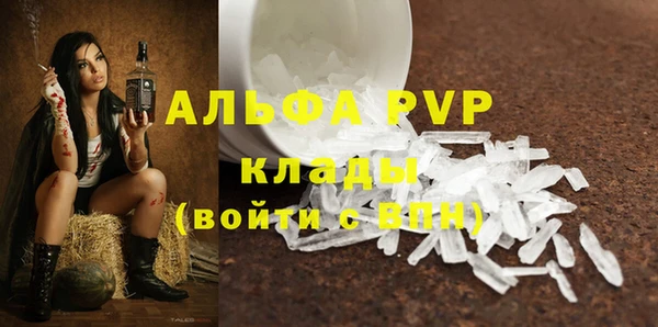молекула духа Медногорск