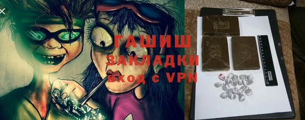 шишки Магас