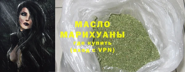 молекула духа Медногорск