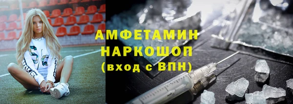 индика Медвежьегорск
